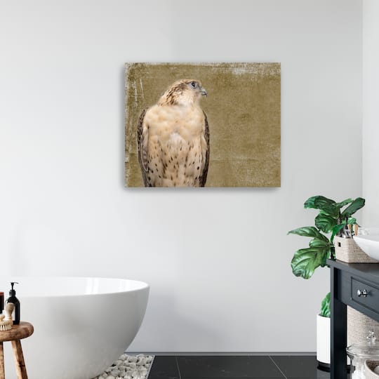 Falcon I Canvas Giclee